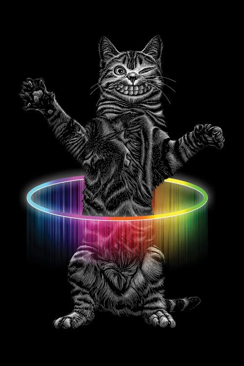 Hullahoop Cat