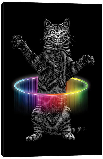Hullahoop Cat Canvas Art Print - Adam Lawless