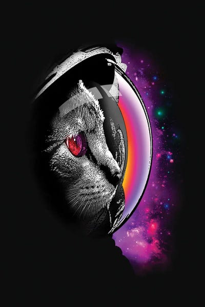 Infinity by Adam Lawless canvas print