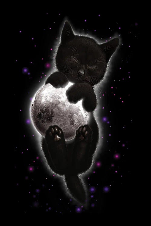 Cat Hugging Moon