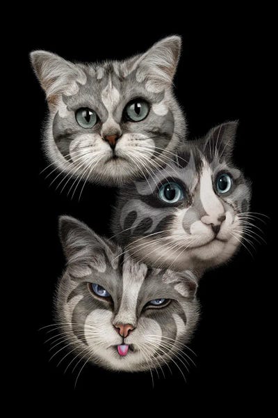 Kisses by Adam Lawless canvas print