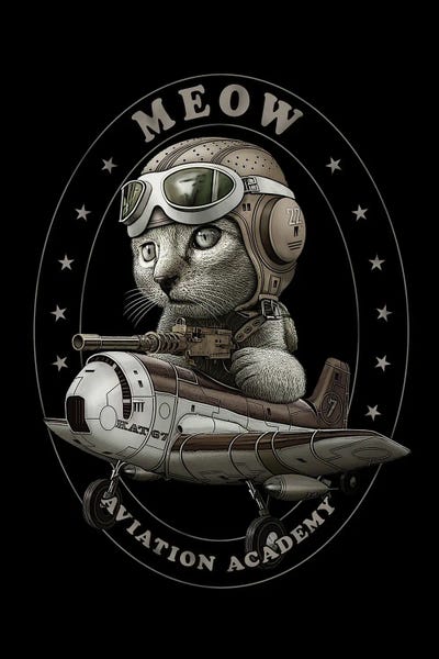 Meow Aviation Academy by Adam Lawless framed canvas print