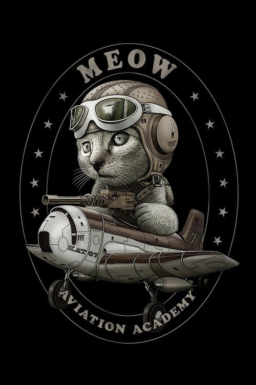 Meow Aviation Academy by Adam Lawless wall art