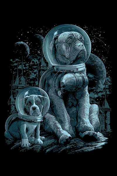 Missed Home by Adam Lawless framed canvas print