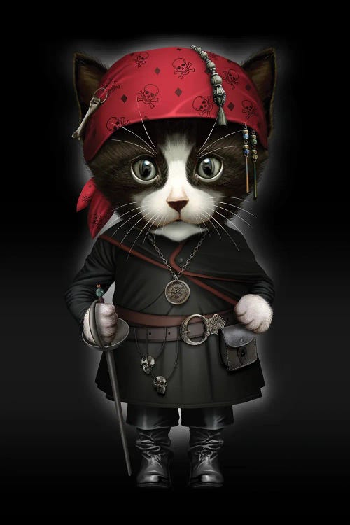Pirate Cat by Adam Lawless wall art