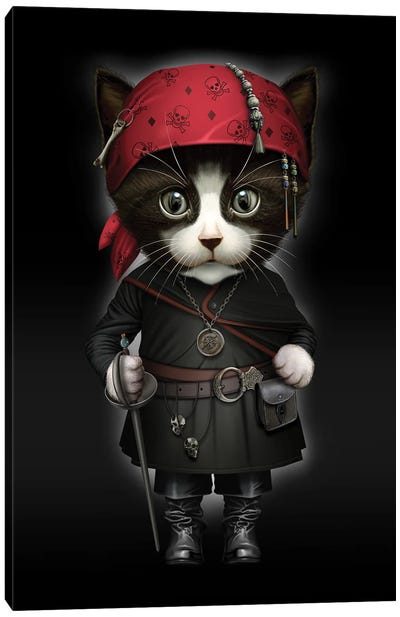 Pirate Cat Canvas Art Print - Adam Lawless