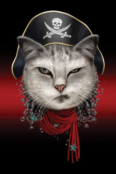 Portrait Of Pirate Cat by Adam Lawless framed canvas print