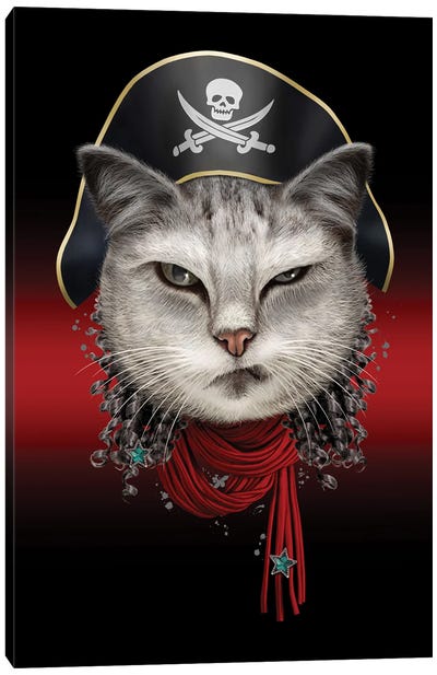 Portrait Of Pirate Cat Canvas Art Print - Adam Lawless