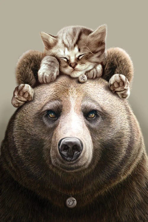 Cat On Bear