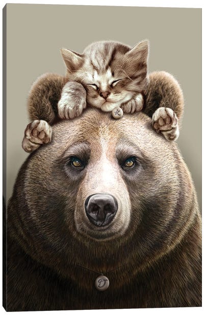 Cat On Bear Canvas Art Print - Adam Lawless