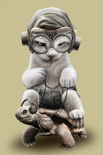 Cat Riding Tortoise by Adam Lawless canvas print