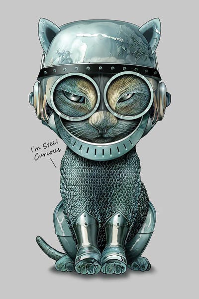 Steel Curious by Adam Lawless framed canvas print