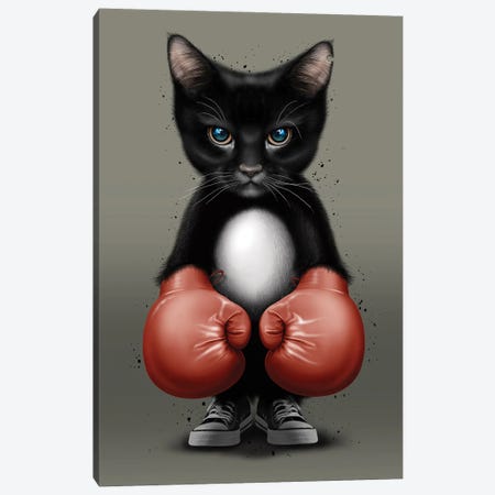 Cat Boxer 2017 Canvas Print #ADL167} by Adam Lawless Canvas Wall Art