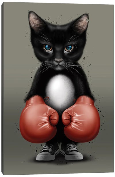 Cat Boxer 2017 Canvas Art Print - Adam Lawless