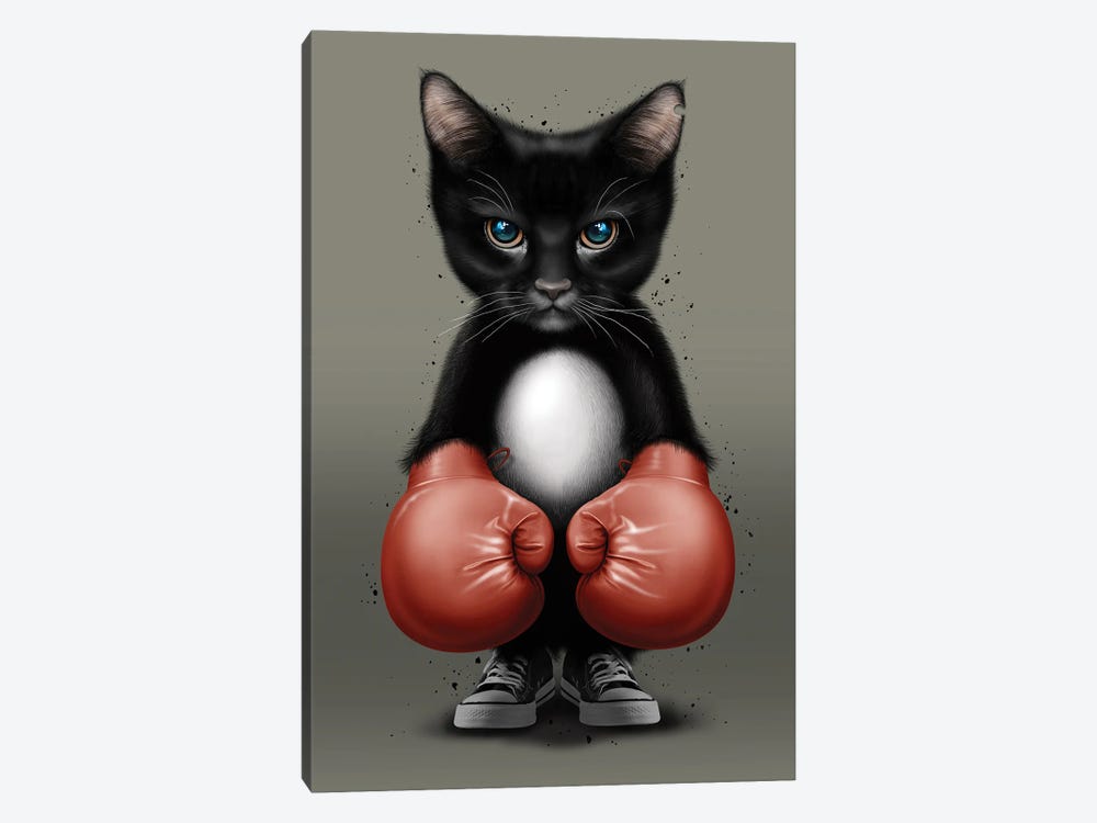 Cat Boxer 2017 by Adam Lawless 1-piece Canvas Art