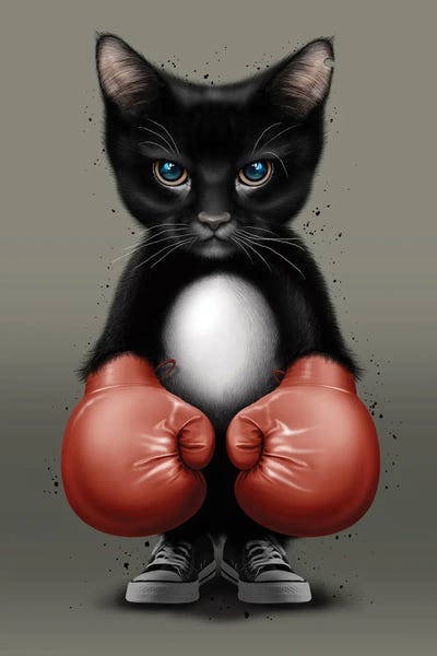 Black Cats: Cat Boxer 2017 by Adam Lawless