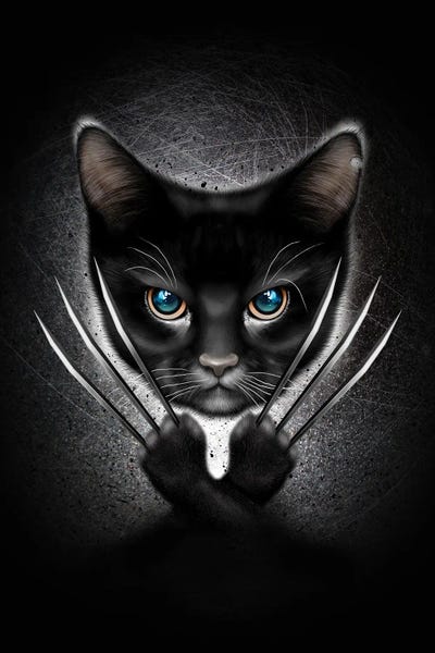 Meow by Adam Lawless framed canvas print