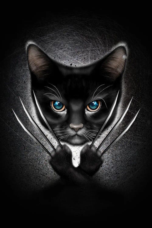 Meow by Adam Lawless wall art