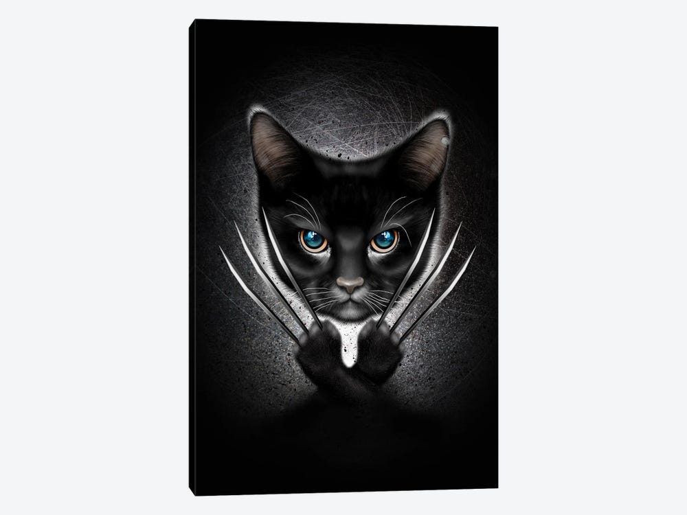 Meow by Adam Lawless 1-piece Canvas Wall Art