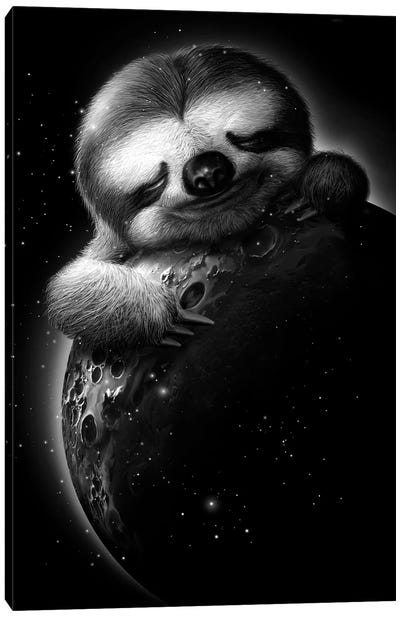 Moonsloth Canvas Art Print - Sloth Art