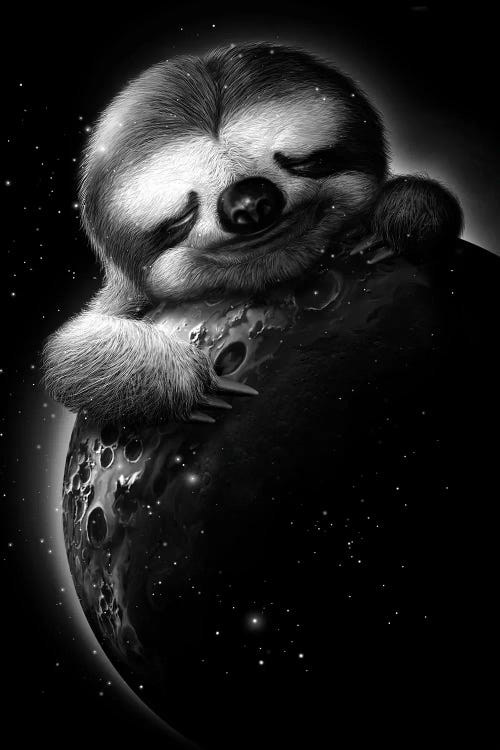 Moonsloth by Adam Lawless wall art