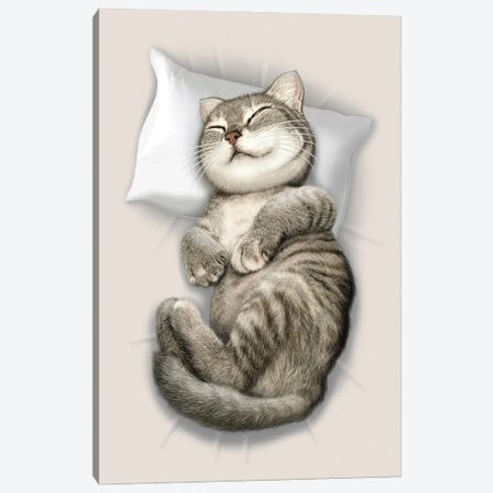 Cat Sleeping Canvas Print #ADL17} by Adam Lawless Canvas Art
