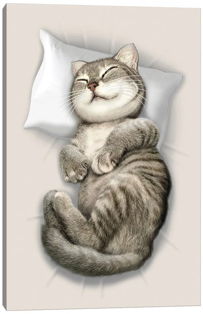 Cat Sleeping Canvas Art Print - Adam Lawless