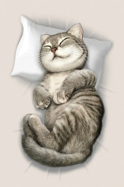 Sleeping & Napping: Cat Sleeping by Adam Lawless