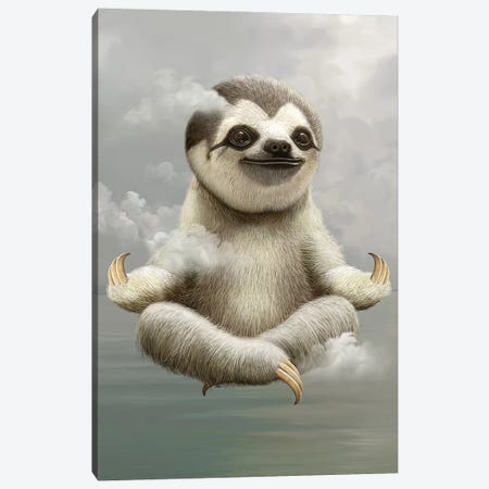 Sloth Meditate Canvas Print #ADL180} by Adam Lawless Canvas Print