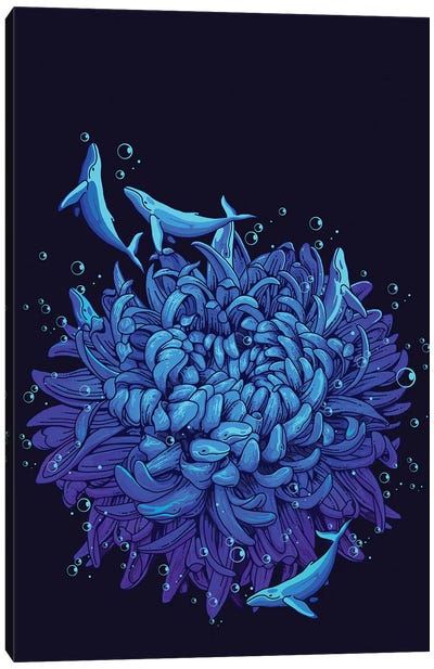 Sea Flower Canvas Art Print - Adam Lawless