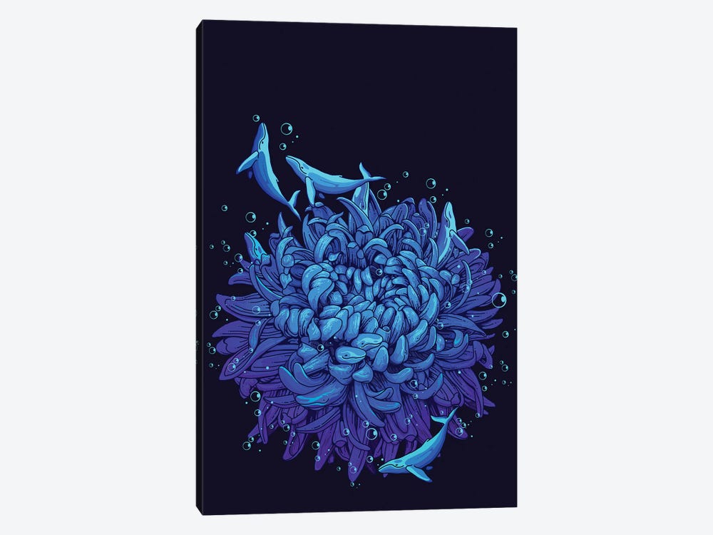 Sea Flower by Adam Lawless 1-piece Canvas Print