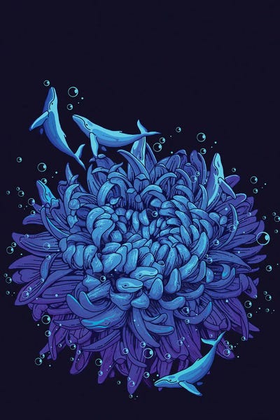 Humpback Whales: Sea Flower by Adam Lawless