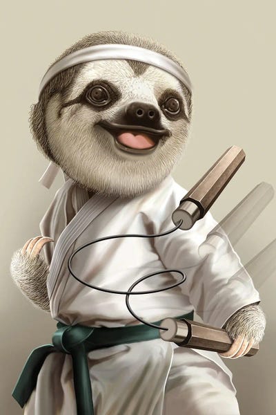 Karate Sloth by Adam Lawless canvas print