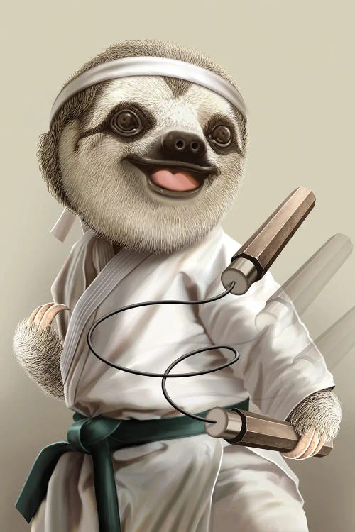 Karate Sloth