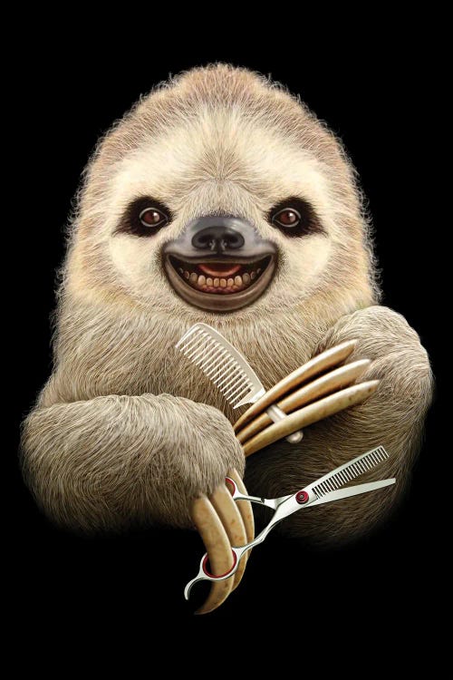 Barber Sloth