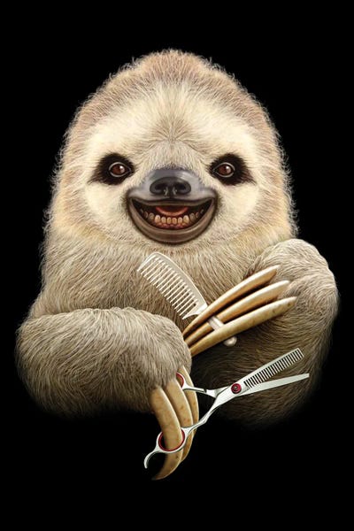 Sloths: Barber Sloth by Adam Lawless