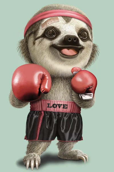 Boxing Sloth 2022 by Adam Lawless canvas print