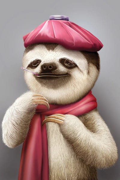 Sloth In Fever by Adam Lawless canvas print