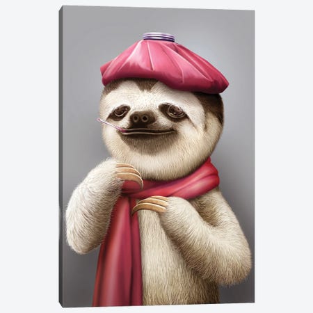 Sloth In Fever Canvas Print #ADL195} by Adam Lawless Art Print