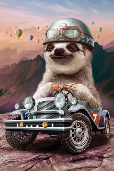 Sloths: Sloth In Racing Car by Adam Lawless