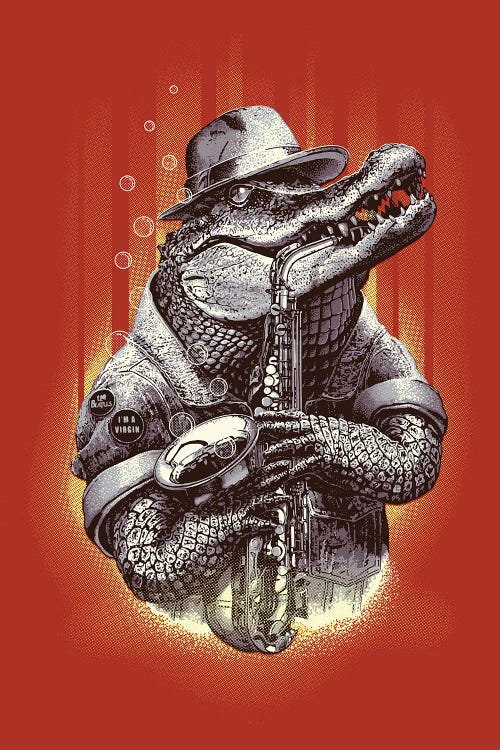 Croc Rock by Adam Lawless wall art