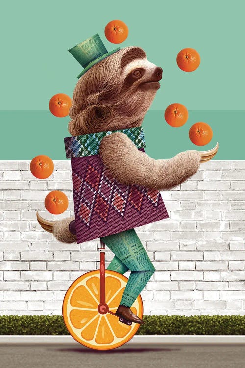 Sloth On An Oranges Unicycle by Adam Lawless wall art