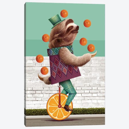 Sloth On An Oranges Unicycle Canvas Print #ADL210} by Adam Lawless Canvas Print
