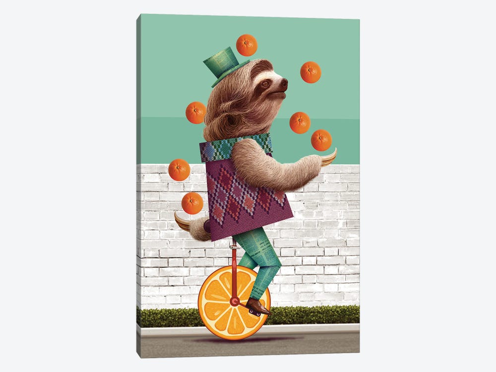Sloth On An Oranges Unicycle by Adam Lawless 1-piece Canvas Art