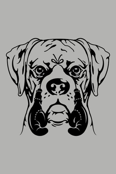 Boxers: Young Boxer by Adam Lawless