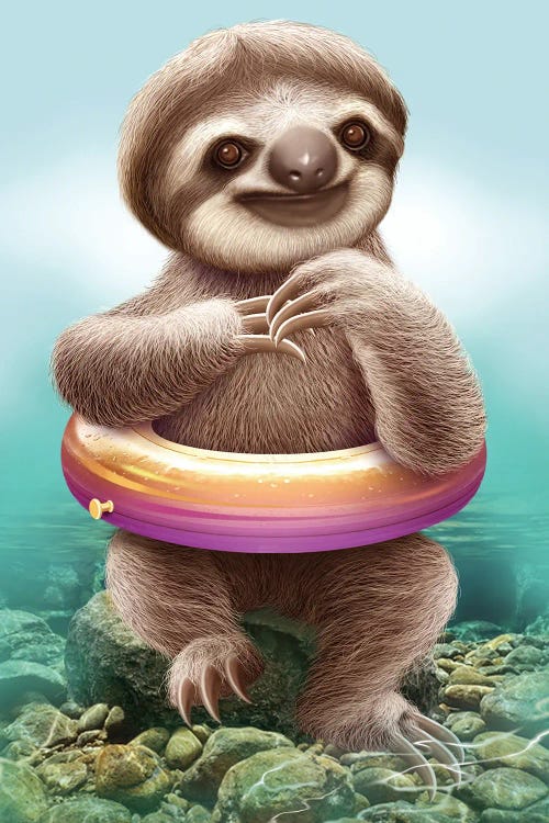 Baby Sloth With Buoy