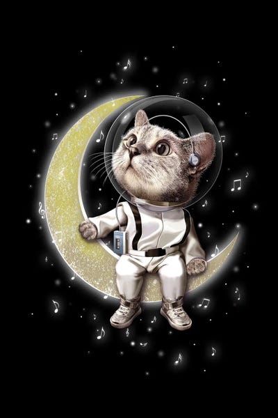 Dreamer by Adam Lawless canvas print