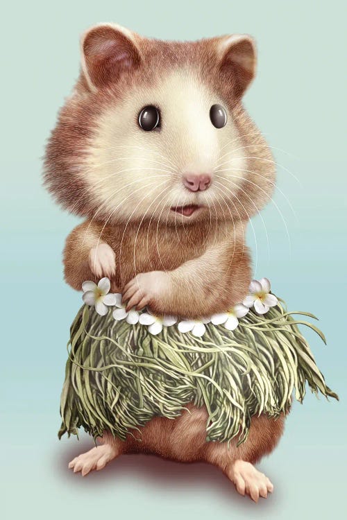 Hamster Hula by Adam Lawless wall art