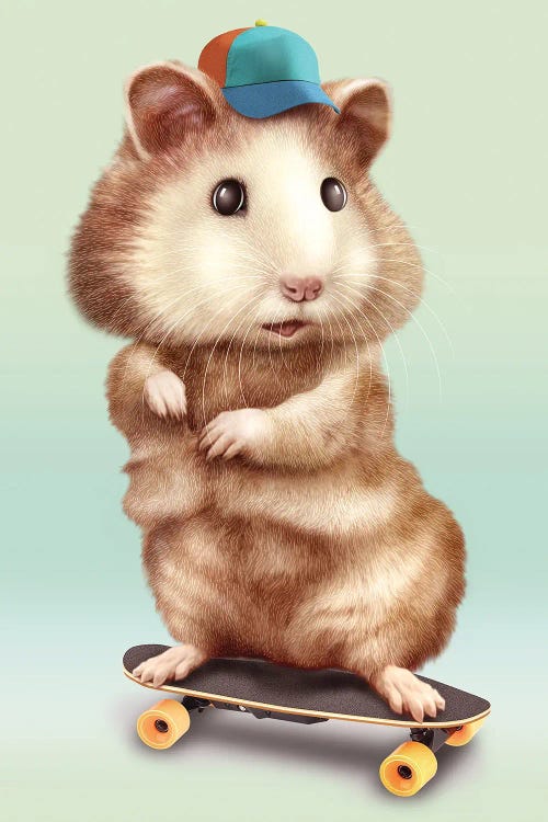 Hamster Skateboarding by Adam Lawless wall art