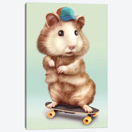 Hamster Skateboarding Canvas Print #ADL32} by Adam Lawless Canvas Art Print